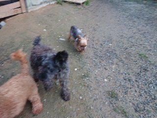 f:id:roukenhome-ann:20181116094316j:plain f:id:roukenhome-ann:20181116094316j:plain