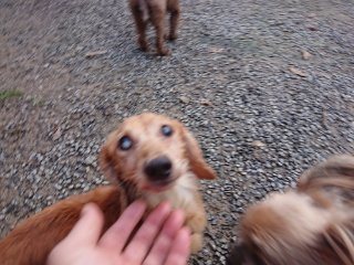 f:id:roukenhome-ann:20181116094319j:plain f:id:roukenhome-ann:20181116094319j:plain