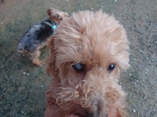 f:id:roukenhome-ann:20181116094342j:plain f:id:roukenhome-ann:20181116094342j:plain