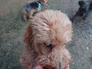 f:id:roukenhome-ann:20181116094346j:plain f:id:roukenhome-ann:20181116094346j:plain