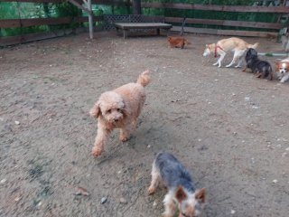 f:id:roukenhome-ann:20181116094356j:plain f:id:roukenhome-ann:20181116094356j:plain