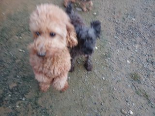 f:id:roukenhome-ann:20181116094413j:plain f:id:roukenhome-ann:20181116094413j:plain