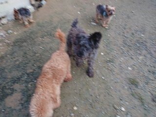 f:id:roukenhome-ann:20181116094420j:plain f:id:roukenhome-ann:20181116094420j:plain