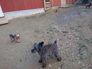 f:id:roukenhome-ann:20181116094424j:plain f:id:roukenhome-ann:20181116094424j:plain