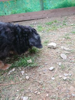 f:id:roukenhome-ann:20181116094533j:plain f:id:roukenhome-ann:20181116094533j:plain