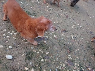 f:id:roukenhome-ann:20181116094545j:plain f:id:roukenhome-ann:20181116094545j:plain