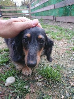 f:id:roukenhome-ann:20181116094553j:plain f:id:roukenhome-ann:20181116094553j:plain