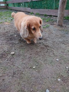 f:id:roukenhome-ann:20181116094624j:plain f:id:roukenhome-ann:20181116094624j:plain