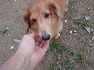 f:id:roukenhome-ann:20181116094629j:plain f:id:roukenhome-ann:20181116094629j:plain