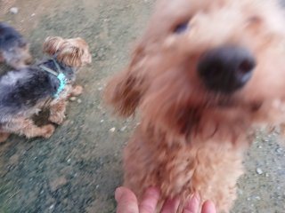f:id:roukenhome-ann:20181116094636j:plain f:id:roukenhome-ann:20181116094636j:plain