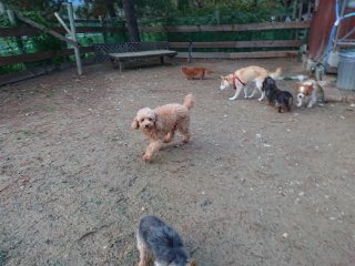 f:id:roukenhome-ann:20181116094644j:plain f:id:roukenhome-ann:20181116094644j:plain