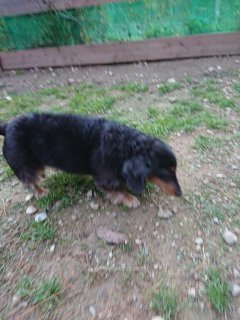 f:id:roukenhome-ann:20181116094648j:plain f:id:roukenhome-ann:20181116094648j:plain