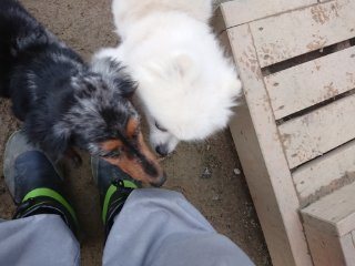 f:id:roukenhome-ann:20181116094721j:plain f:id:roukenhome-ann:20181116094721j:plain