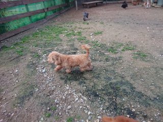 f:id:roukenhome-ann:20181116094804j:plain f:id:roukenhome-ann:20181116094804j:plain