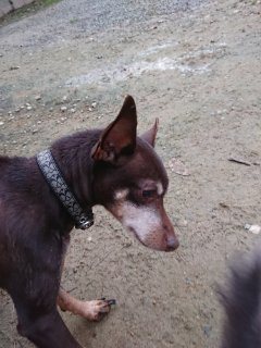 f:id:roukenhome-ann:20181116095020j:plain f:id:roukenhome-ann:20181116095020j:plain