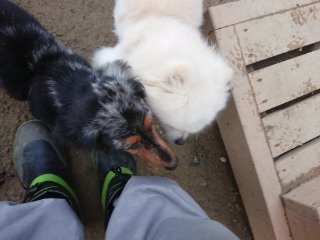 f:id:roukenhome-ann:20181116095042j:plain f:id:roukenhome-ann:20181116095042j:plain