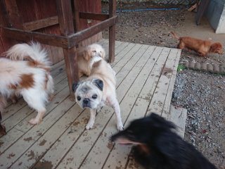 f:id:roukenhome-ann:20181116095058j:plain f:id:roukenhome-ann:20181116095058j:plain