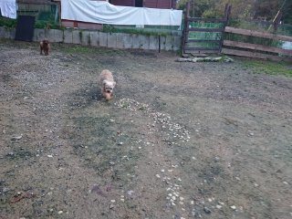 f:id:roukenhome-ann:20181116095102j:plain f:id:roukenhome-ann:20181116095102j:plain