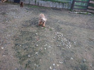 f:id:roukenhome-ann:20181116095106j:plain f:id:roukenhome-ann:20181116095106j:plain