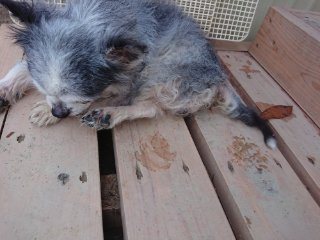 f:id:roukenhome-ann:20181116095111j:plain f:id:roukenhome-ann:20181116095111j:plain