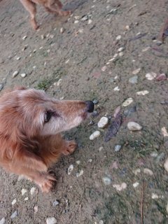 f:id:roukenhome-ann:20181116095129j:plain f:id:roukenhome-ann:20181116095129j:plain
