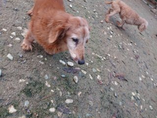 f:id:roukenhome-ann:20181116095133j:plain f:id:roukenhome-ann:20181116095133j:plain