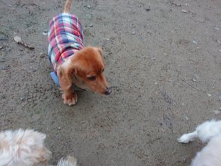 f:id:roukenhome-ann:20181116095215j:plain f:id:roukenhome-ann:20181116095215j:plain