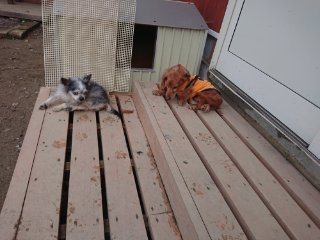 f:id:roukenhome-ann:20181116095223j:plain f:id:roukenhome-ann:20181116095223j:plain