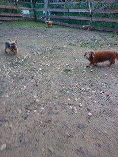 f:id:roukenhome-ann:20181116095230j:plain f:id:roukenhome-ann:20181116095230j:plain
