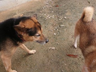 f:id:roukenhome-ann:20181116174932j:plain