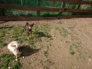 f:id:roukenhome-ann:20181116175054j:plain