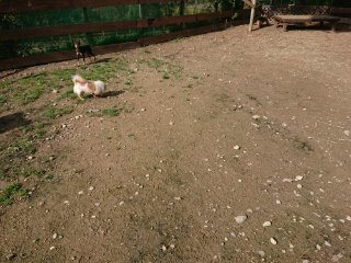 f:id:roukenhome-ann:20181116175111j:plain