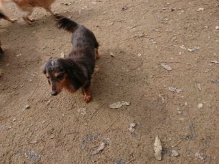 f:id:roukenhome-ann:20181116175147j:plain