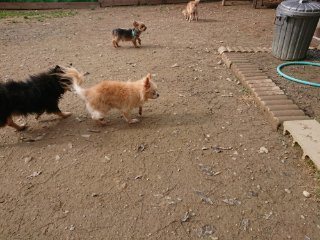 f:id:roukenhome-ann:20181116175150j:plain