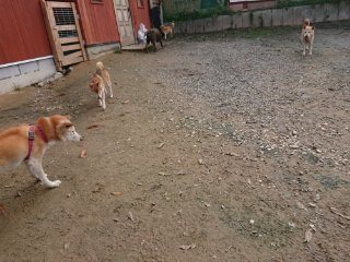 f:id:roukenhome-ann:20181116175155j:plain