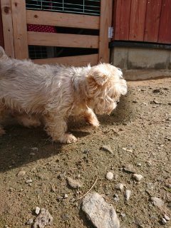 f:id:roukenhome-ann:20181116175207j:plain