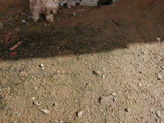 f:id:roukenhome-ann:20181116175231j:plain