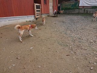 f:id:roukenhome-ann:20181116175254j:plain