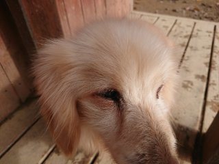 f:id:roukenhome-ann:20181116175258j:plain