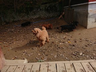 f:id:roukenhome-ann:20181116175307j:plain