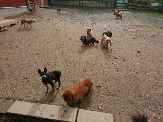 f:id:roukenhome-ann:20181116175315j:plain