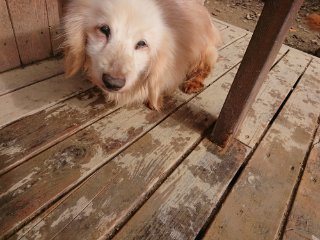 f:id:roukenhome-ann:20181116175329j:plain
