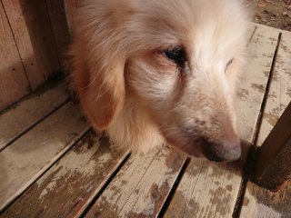 f:id:roukenhome-ann:20181116175333j:plain