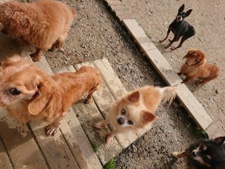 f:id:roukenhome-ann:20181116175347j:plain