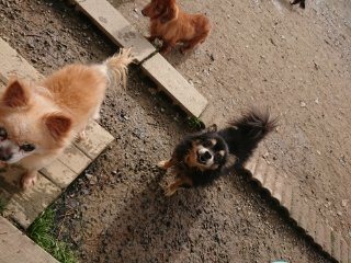 f:id:roukenhome-ann:20181116175352j:plain
