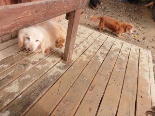 f:id:roukenhome-ann:20181116175408j:plain