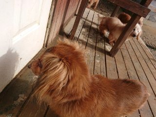 f:id:roukenhome-ann:20181116175428j:plain