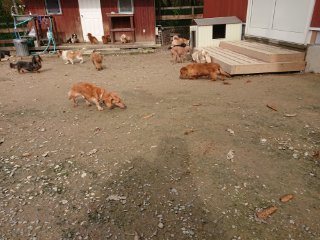 f:id:roukenhome-ann:20181116175509j:plain