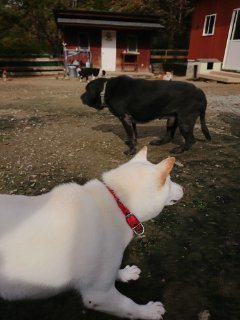 f:id:roukenhome-ann:20181116175529j:plain