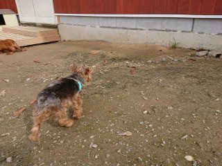 f:id:roukenhome-ann:20181116175550j:plain